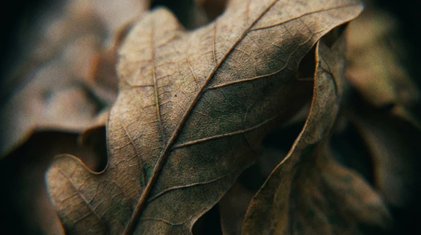 Image for Beyond BMI: How the Future of Obesity Classification Could Reshape Public Health