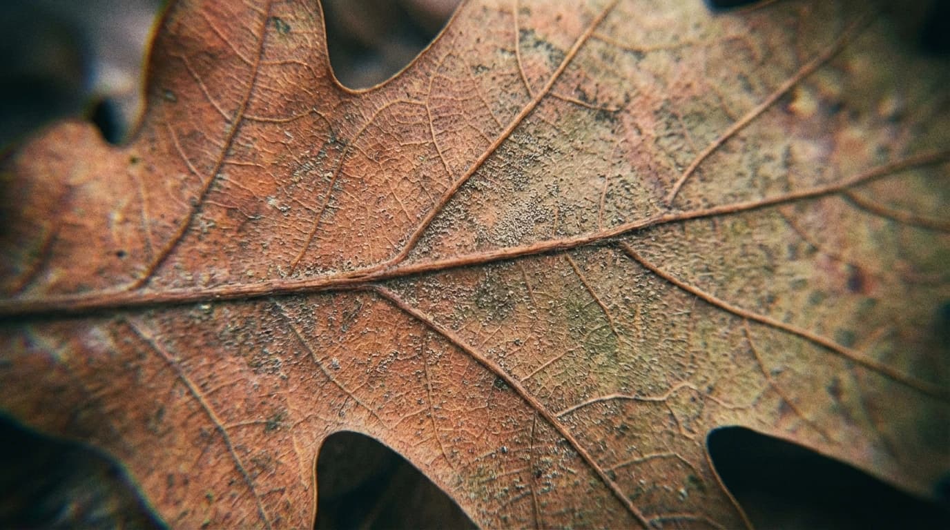 Image for Beyond the GMO Divide: The Quiet Elegance of CRISPR Plant Breeding