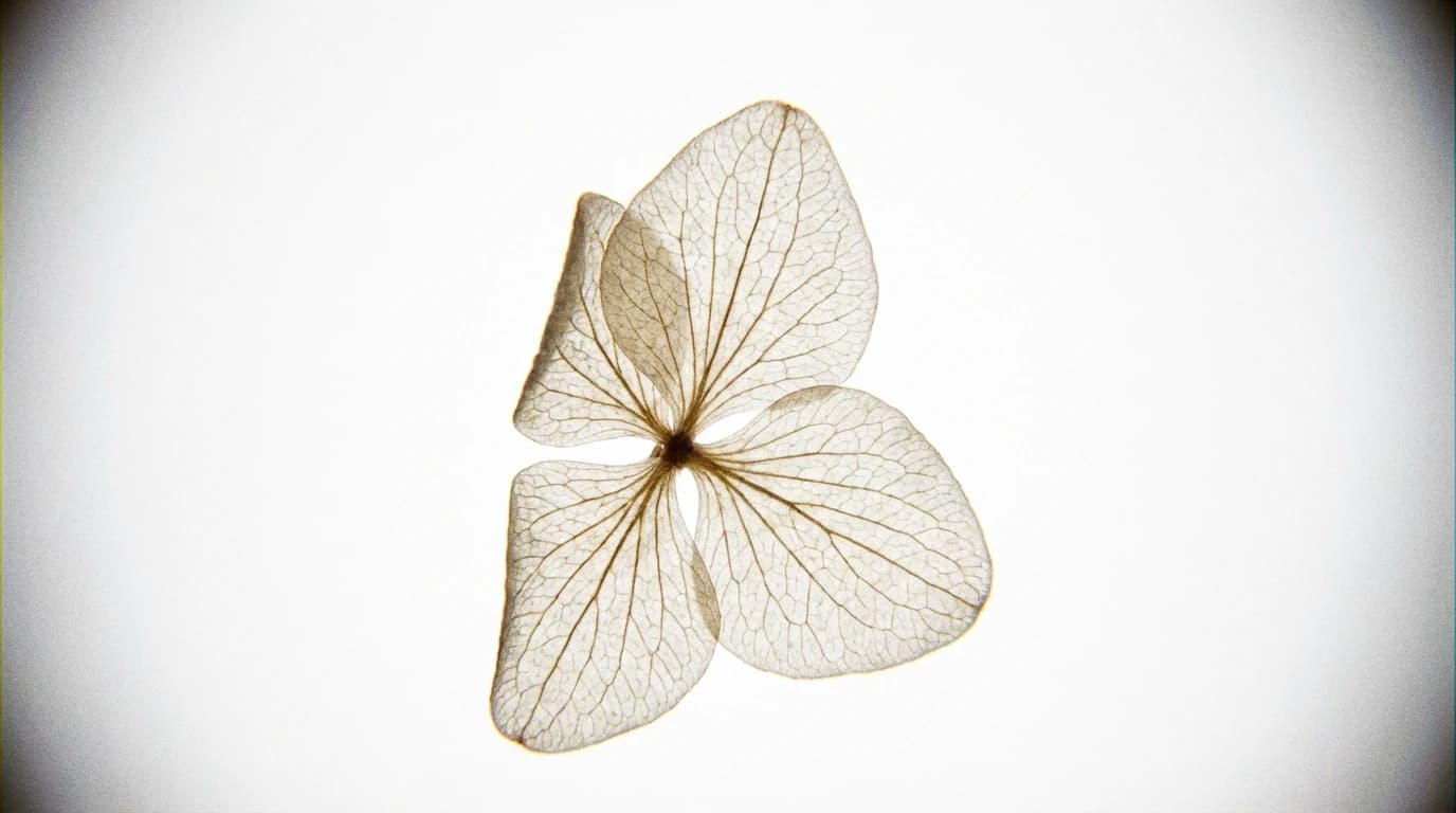 Image for Green Hydrogen and the Anion Exchange Membrane Water Electrolyzer