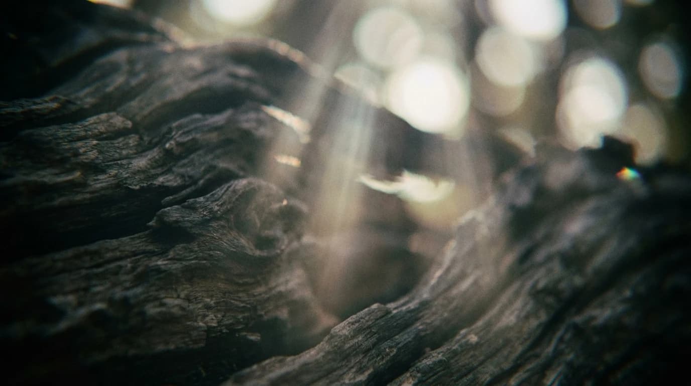 Image for Harvesting the Dark: How TADF Materials Are Revolutionising Light