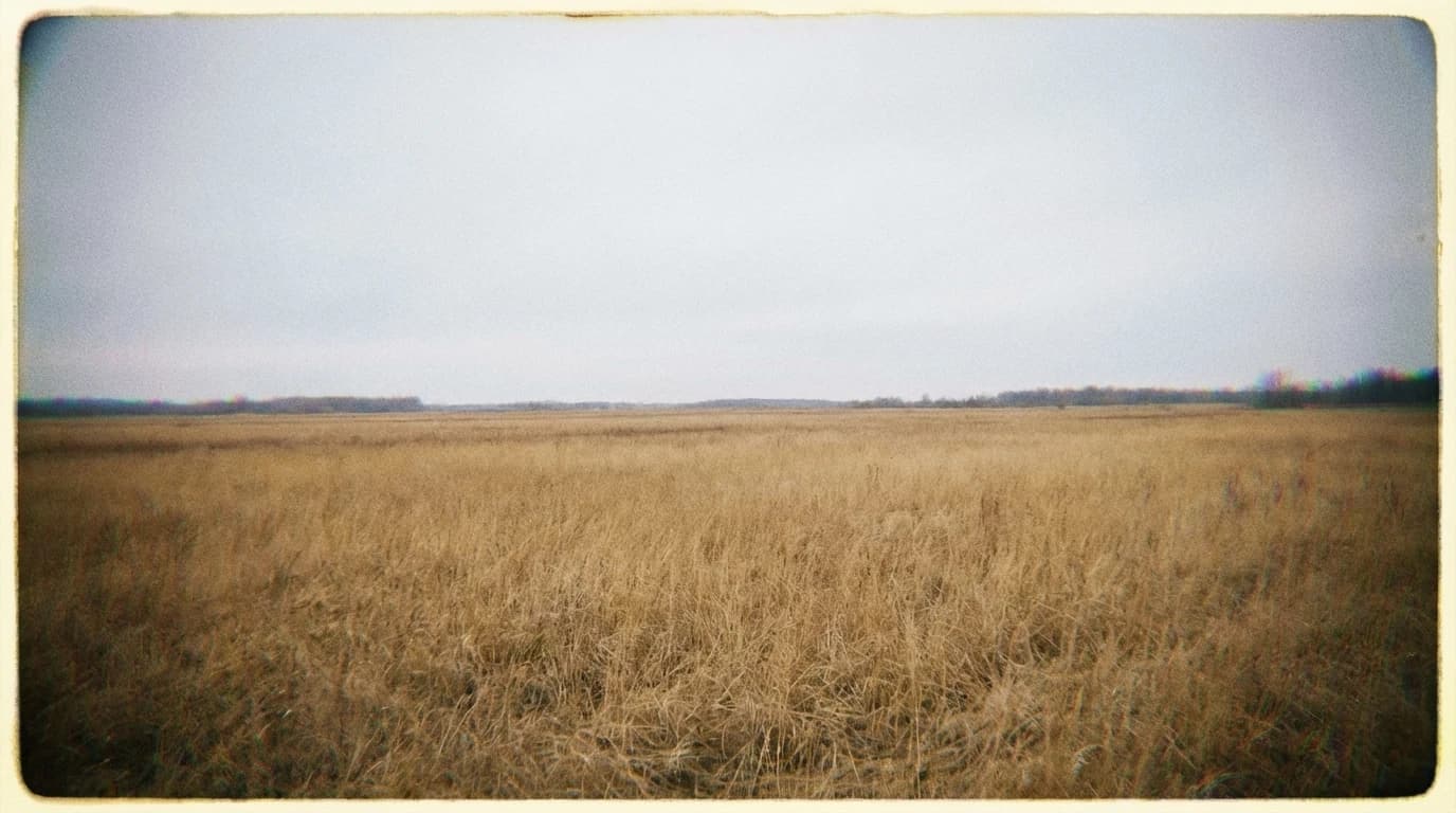 Image for High-Entropy Battery Materials: The Chaos That Could Stabilise Our Energy Future