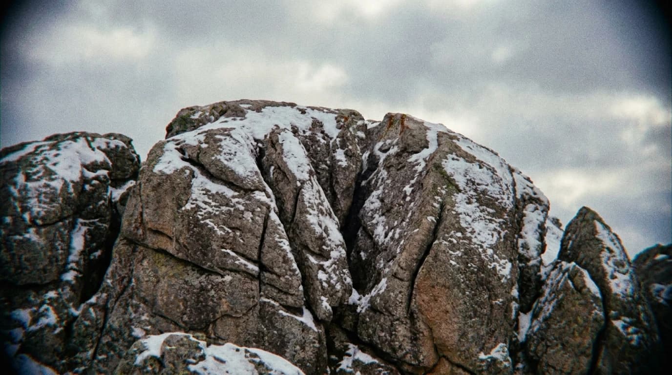 Image for How Scientists Supercharged Tartary Buckwheat for Extreme Mountain Farming