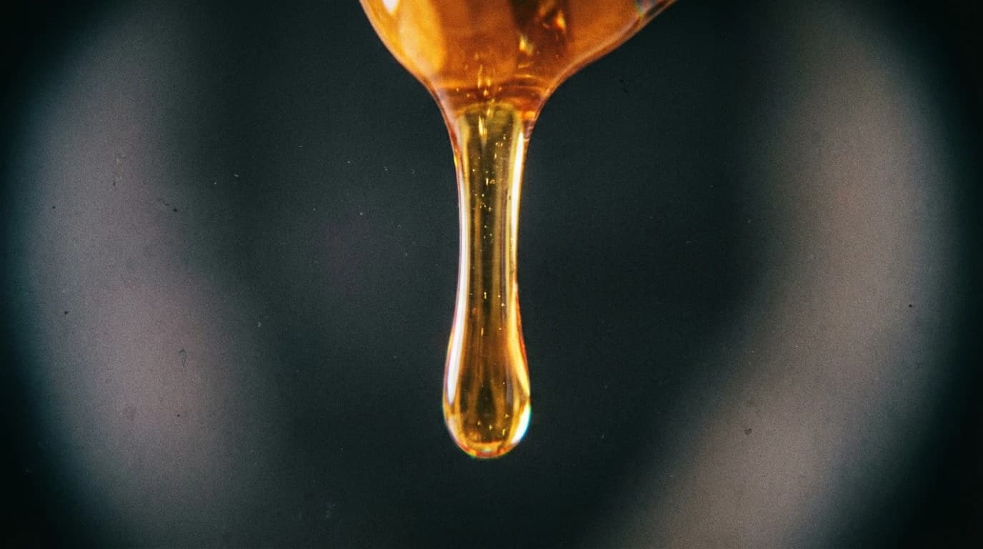 Visualisation for: Melamine Cyanurate Neurotoxicity: When the Brain’s Cleaning Crew Goes on Strike