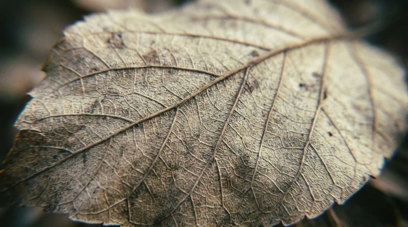 Image for Oxytocin for Obesity: How the 'Love Hormone' Could Reshape Metabolic Medicine