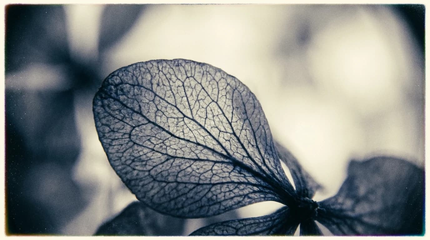 Visualisation for: Peering Into the Living Brain: The Power of Three-Photon Microscopy