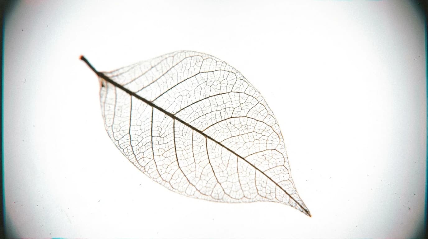 Image for Scalable MEMS Fabrication: The 'Film First' Protocol for Hydrogen Sensing