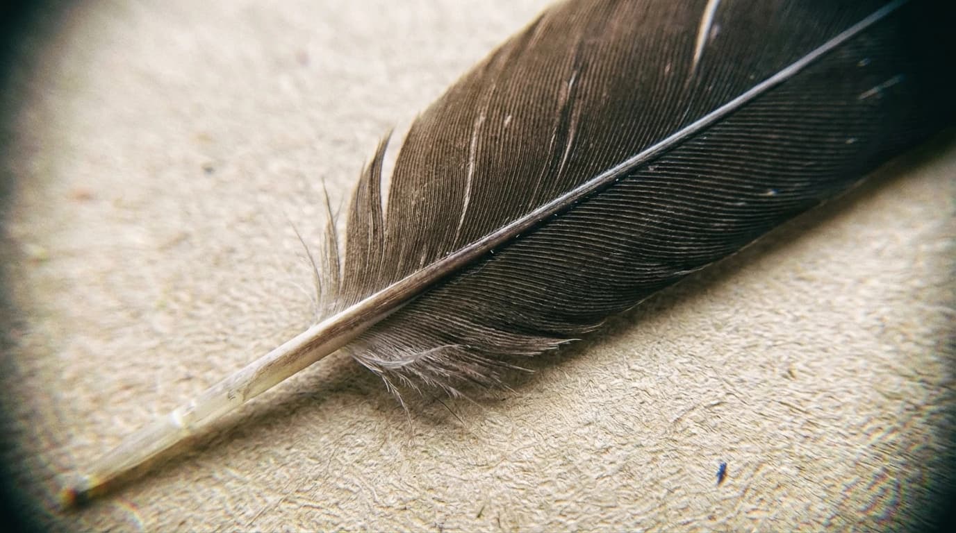 Image for Sequencing the Falcon genome: Long-Read Technology Maps Avian Evolution