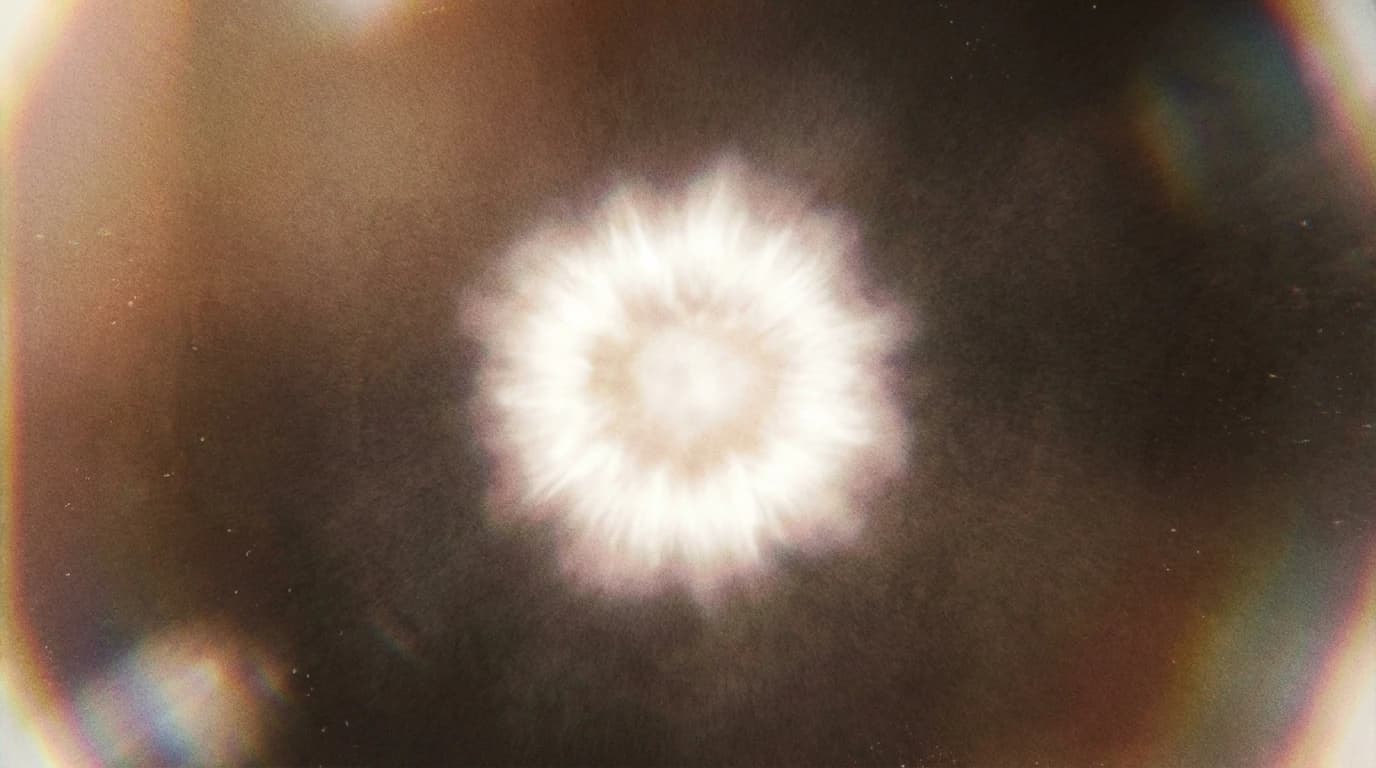 Image for The 24-Nanosecond Phantom: Perfecting 2D Quantum Sensing