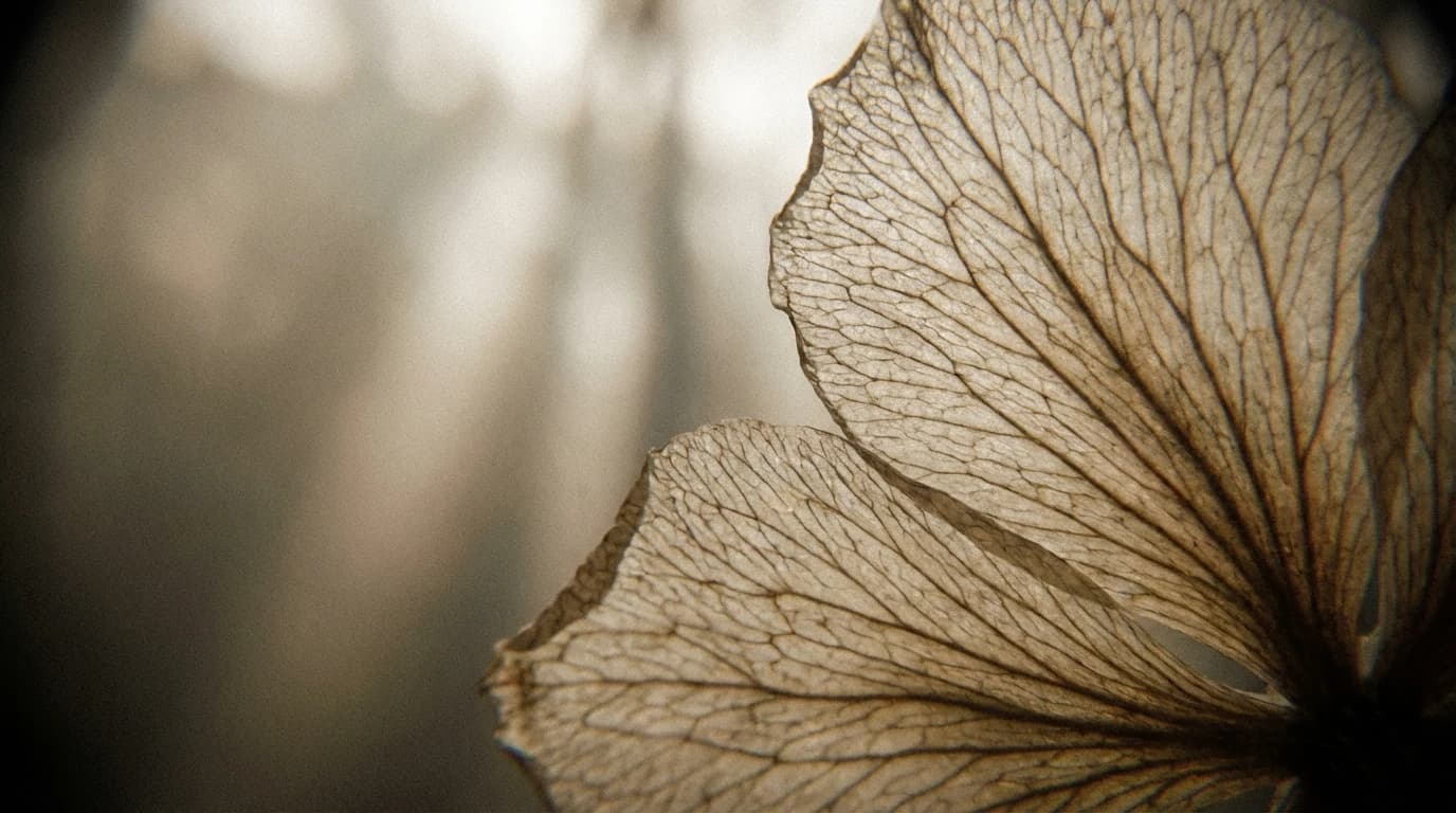 Image for The Double Hit: How Pre-Birth Stress Amplifies Adult Memory Loss