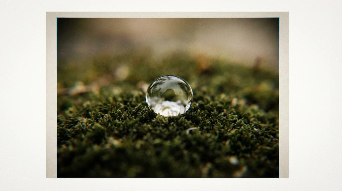 Image for The Future of Dry Eye Disease Treatments: Balancing Clinical Data and Patient Comfort