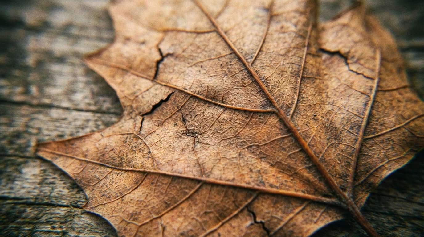 Image for The Ghost in the Machine: Using Out-of-Distribution Detection Computer Vision to Expose the Hidden Flaws in Autonomy
