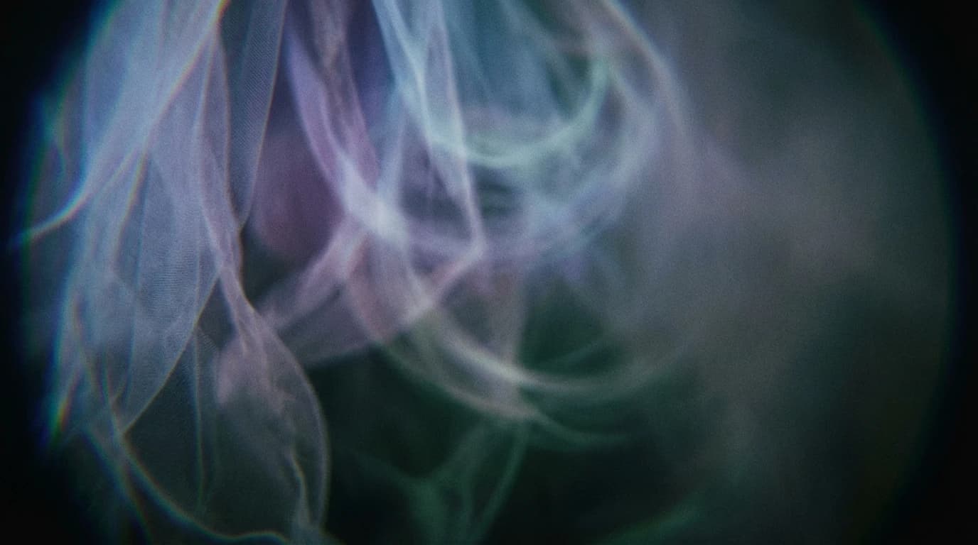 Visualisation for: The Off Switch: Rethinking the Neural Mechanisms of Sleep and Anesthesia