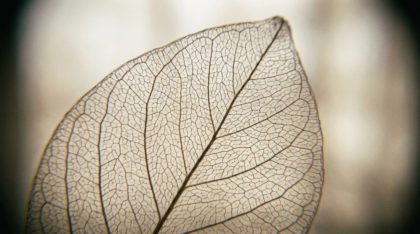 Image for The Quiet Crisis in Our Fields: How Transgene-Free CRISPR Plant Breeding Could Secure the Harvest