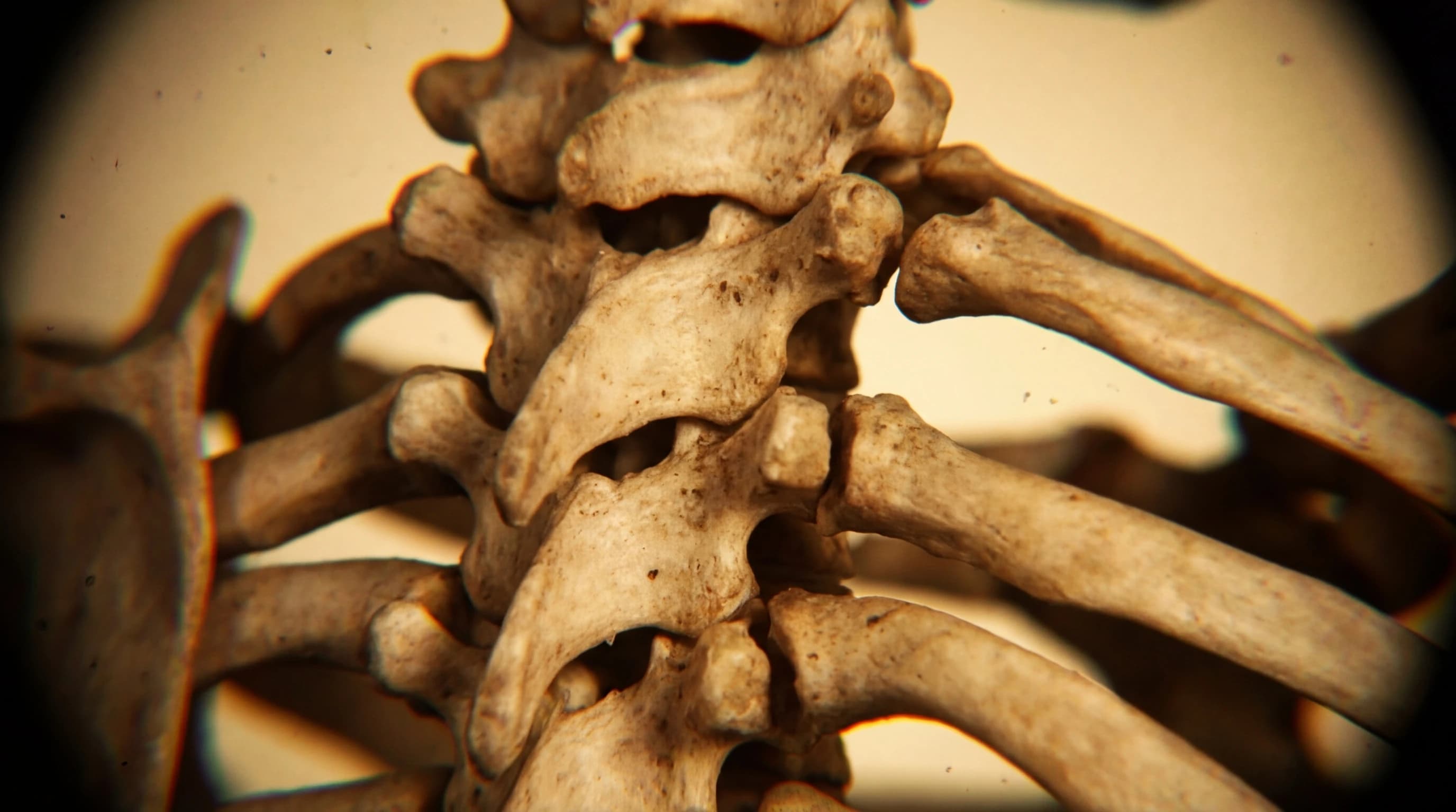 Visualisation for: Why Conservation biology Must Stop Treating Human Intervention as the Enemy